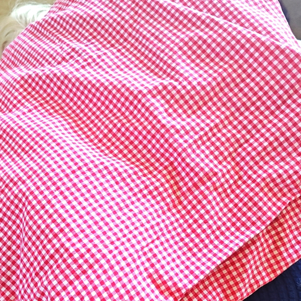 Pottery Barn Kids Red Gingham Duvet Cover